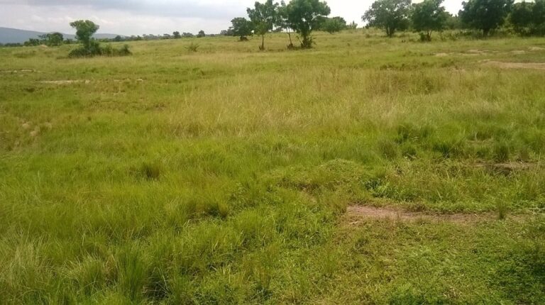 5 STEPS TO ACQUIRE AND PROTECT YOUR LAND IN GHANA – Awak Company Limited